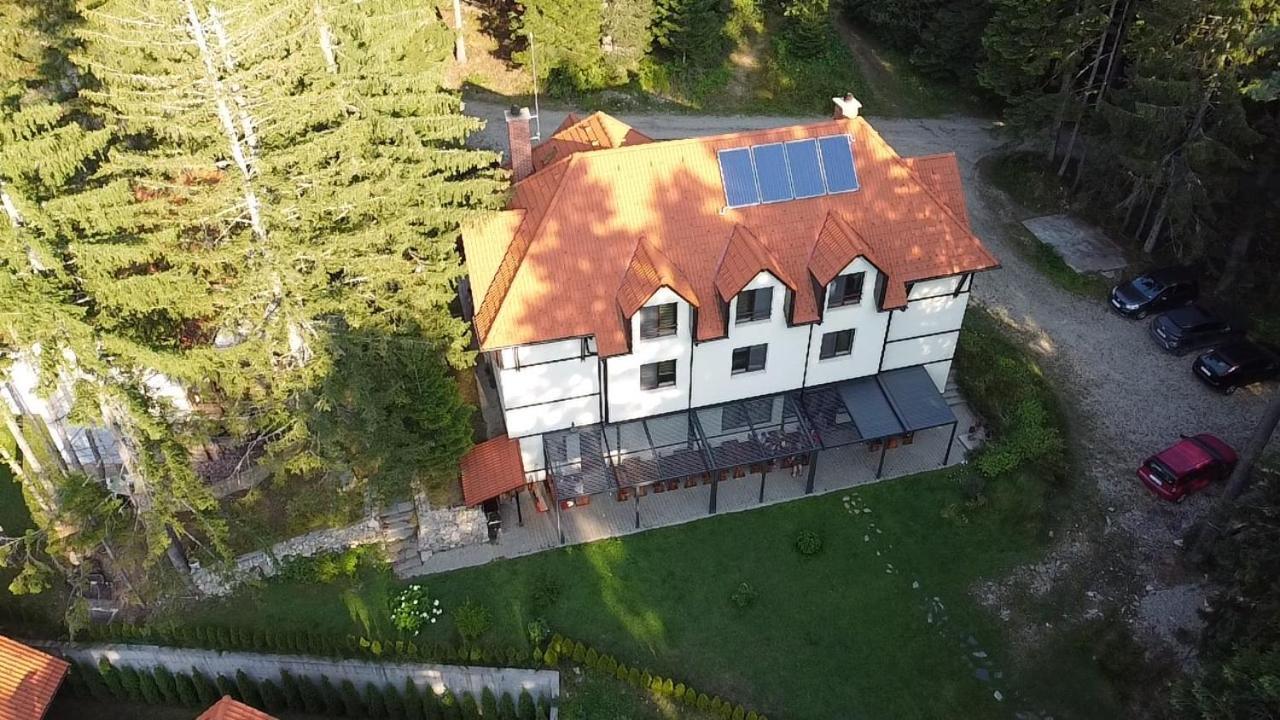 Berghof Eva - Hotel Panichishte Exterior photo